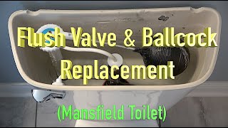 Flush Valve amp Ballcock Replacement  Mansfield Toilet [upl. by Jaime484]