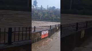 River Taff flood at Radyr Weir Cardiff 24 Nov 2024 [upl. by Lowery]