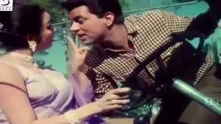 Shikar Karne Ko Aaye  Mohammed Rafi  Dharmendra Asha Parekh [upl. by Ysak923]