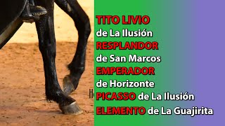 CABALLOS FINOS ÉLITE FERIA DE LAS FLORES 2024 [upl. by Veneaux]