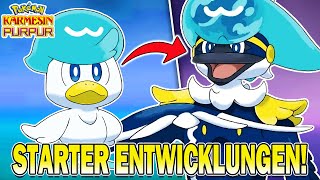 NEUE STARTER ENTWICKLUNGEN Pokemon Karmesin amp Purpur Konzepte 2 [upl. by Eibot]