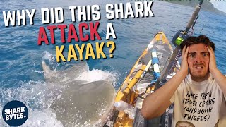 Shark Scientist REACTS to Shark ATTACKS 5 [upl. by Glimp]