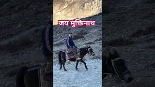 Muktinath Darshan Youtubeshorts [upl. by Alcott]