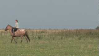 Pampas Horse Riding [upl. by Mathew]