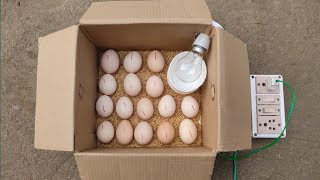 How to make incubator at home [upl. by Carny]