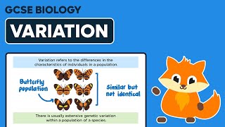 Variation  GCSE Biology [upl. by Treblih]