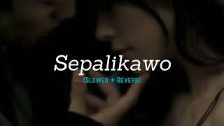 Sepalikawo Slowed  Reverb  Casper Vibez [upl. by Lesh584]