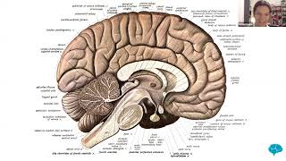 New Cognitive Science Group  10week course begins 7 August [upl. by Eupheemia]