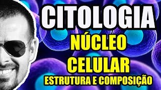 Núcleo da Célula  Estrutura e Composição Cromatina e Nucléolo  Biologia Celular VídeoAula 015 [upl. by Ashraf]