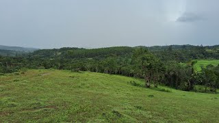 3 Acres of good scenic hill top Land for sale in sakleshpur [upl. by Oca]