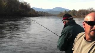 Indicator Nymphing on Lower Sacramento River [upl. by Irep]