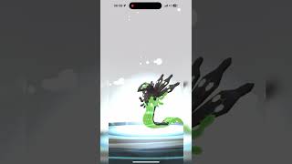 Zygarde Evolve 50 Form and Zygarde Evolve 100 Form  Pokemon Go [upl. by Crissie]