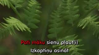 Div pļaviņas es nopļāvu KARAOKE [upl. by Nylirak]