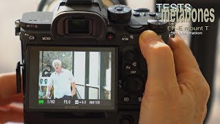 Sony a7R III  Tamron SP 150 600mm Lens  Continuous AF and Eye AF Test 4K [upl. by Amitarp279]