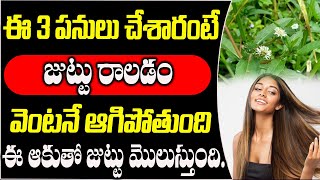 జుట్టురాలడం వెంటనే ఆగిపోతుంది  Hair Fall Solution at Home in Telugu  How to Stop Hair Fall [upl. by Rodenhouse]