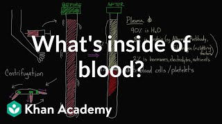 Whats inside of blood  Lab values and concentrations  Health amp Medicine  Khan Academy [upl. by Meta]