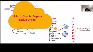 Respuesta inmune hemograma activación [upl. by Seys]