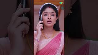 Malli Serial Shorts  Episode 193 Promo  Nikitha  Vijay  shorts ytshorts youtubeshorts [upl. by Lipfert212]