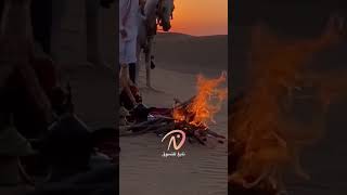 القصيم بريده اكسبلور explore [upl. by Grannia]