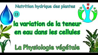 La variation de la teneur en eau dans les cellules  physiologie végétale S4suite de la vidéo 12 [upl. by Enaelem]