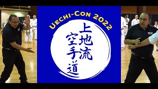 UECHICON 2022  Grandmaster Jim Maloney  10th Dan [upl. by Ruddy708]