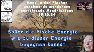 MondTIPP  Wie du der FischeEnergie gelassen begegnen kannst [upl. by Sabelle629]