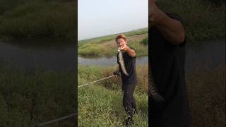 Village village fishing 🎣shorts fishing fish viralshort [upl. by Ainslie439]