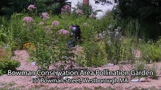 Bowman Conservation Pollinator Garden [upl. by Assenov]