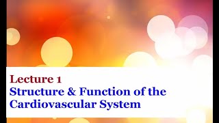 Lecture 1  Introduction to the Cardiovascular System [upl. by Kalindi]