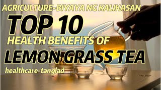 agriculture TOP 10 HEALTH BENEFITS OF LEMON GRASSTANGLAD TEA [upl. by Rubi]