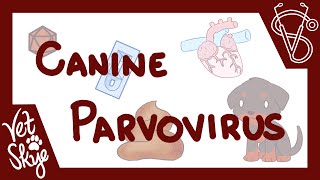 Canine Parvovirus  causes pathophysiology clinical signs diagnosis treatment prevention [upl. by Ayamahs]