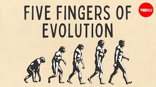 Five fingers of evolution  Paul Andersen [upl. by Ruskin327]