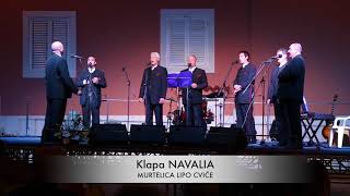 Klapa NAVALIA Koncert  25 godina [upl. by Aysahc]