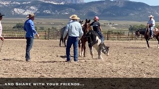 Ranch Roping Clinic  Panguitch Utah [upl. by Sobmalarah]