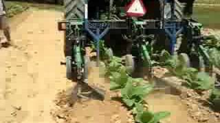 Drip Irrigation on Burley Tobacco [upl. by Cleaves267]