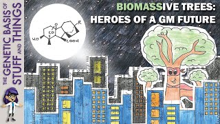 Gibberellin overexpression increases tree biomass The future of forestry [upl. by Bijan592]