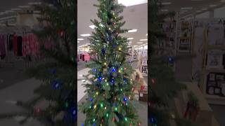 Watch  Christmas Trees  Tall amp Small  For YouTube Holiday Shorts Entertainment [upl. by Feingold334]