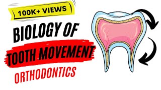 Biology of tooth movement [upl. by Elocal]