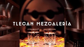 The Coolest Mezcaleria in CDMX  Tlecan Mezcaleria in Roma Norte [upl. by Dyal]