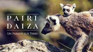 Pairi Daiza  Un Paradis sur Terre [upl. by Philly]