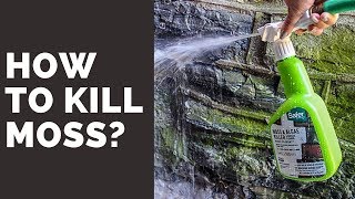 How To Kill Moss  Safer Moss And Algae Killer Review [upl. by Cally938]