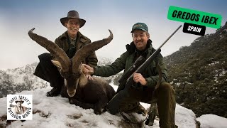 Stunning Gredos Ibex in Spain [upl. by Haroun732]