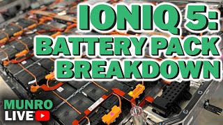 Hyundai Ioniq 5 Integrated cooling plate  Battery Pack Breakdown [upl. by Kleper35]