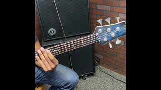 Wombat 5 Custom bass by Form Factor  Amp Shop Bass Exchange [upl. by Cobb]