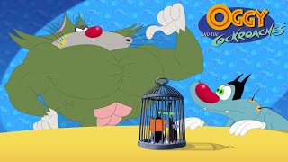 Oggy and the Cockroaches  Jack to the rescue SEASON 7 BEST CARTOON COLLECTION  Episodes in HD [upl. by Brinna846]