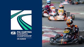 FIA Karting European Championship 2018 OK and Junior Essay Sunday [upl. by Eissalc196]