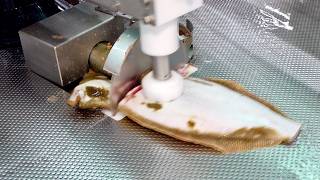 Cutting and Separating Fish in an Instant Sashimi Automatic Mass Production Factory Process [upl. by Edgerton673]