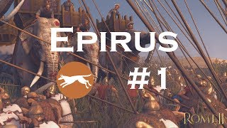 Lets Play Total War Rome 2  Epirus  Episode 1 [upl. by Naujak]