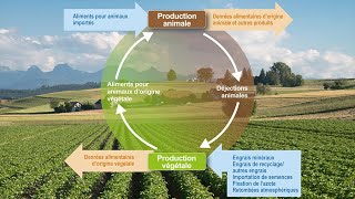 Pertes d’éléments nutritifs dans l’agriculture – De quoi s’agitil [upl. by Bracci]