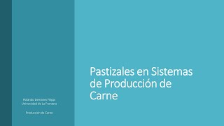 Pastizales en sistemas de producción de carne [upl. by Acissaj]